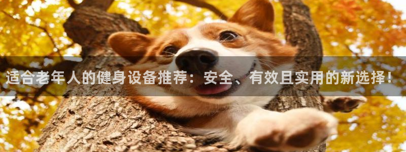 意昂体育4招商电话地址查询