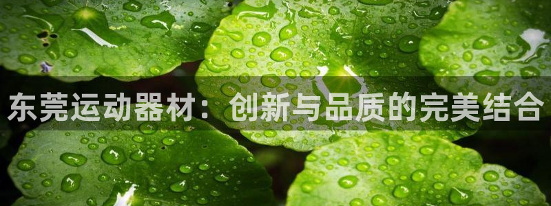 意昂体育4平台注册要钱吗是真的吗：东莞运动器材：创新与品质的