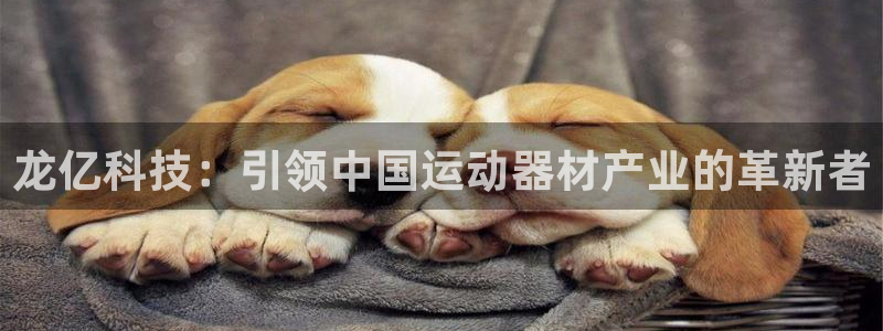 意昂体育4平台是正规平台吗安全吗：龙亿科技：引领中国