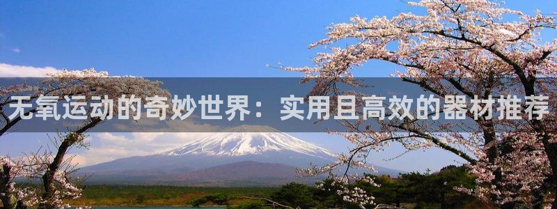 海南意昂体育4：无氧运动的奇妙世界：实用且高效的器材