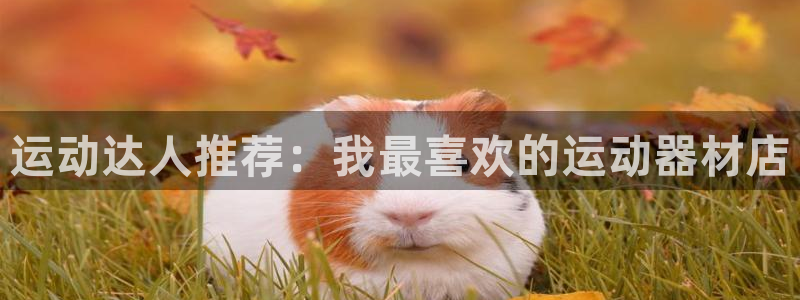 意昂体育4招商电话号码：运动达人推荐：我最喜欢的运动