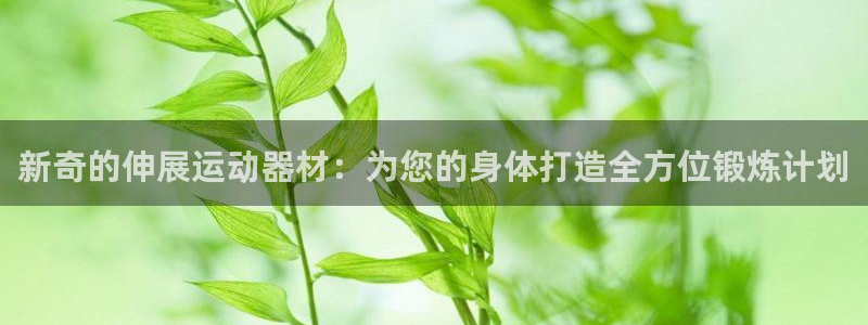 意昂体育4平台注册流程视频：新奇的伸展运动器材：为您