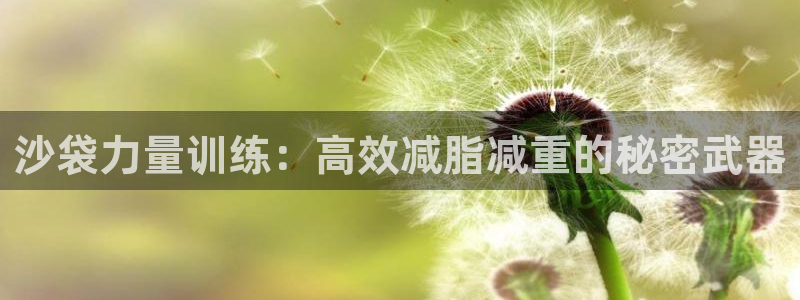 意昂体育4平台假的吗是真的吗：沙袋力量训练：高效减脂减重的秘