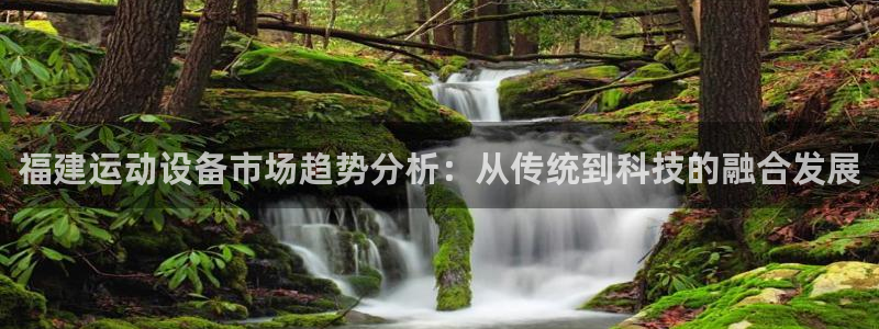 意昂体育4平台注册要钱吗：福建运动设备市场趋势分析：从传统到