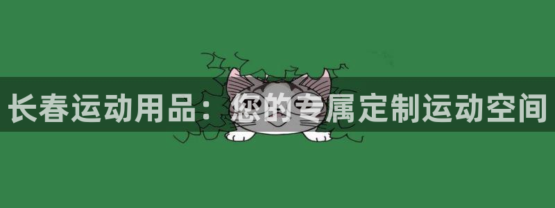 意昂4新能源