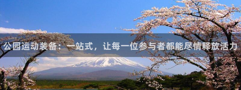 意昂体育4平台注册流程视频：公园运动装备：一站式，让