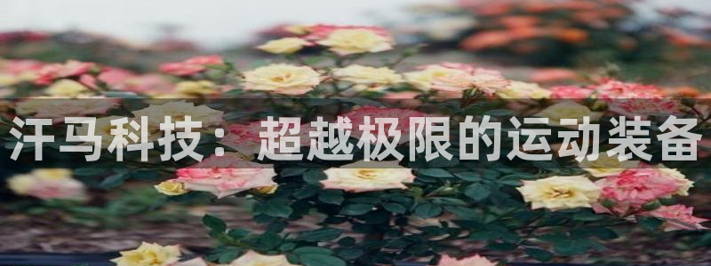 意昂集团官网：汗马科技：超越极限的运动装备
