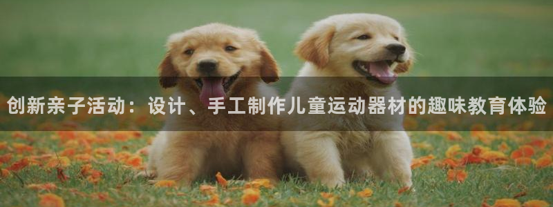 意昂4集团简介：创新亲子活动：设计、手工制作儿童运动器材的趣