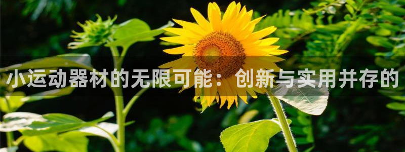 意昂体育4平台注册要钱吗是真的吗：小运动器材的无限可