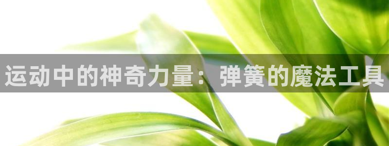 意昂4娱乐代理怎么样