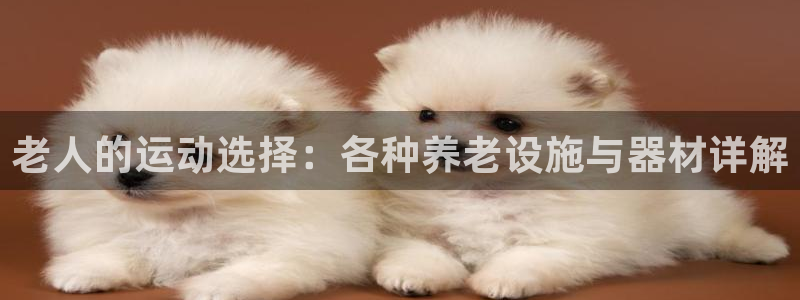 意昂4五金厂：老人的运动选择：各种养老设施与器材详解