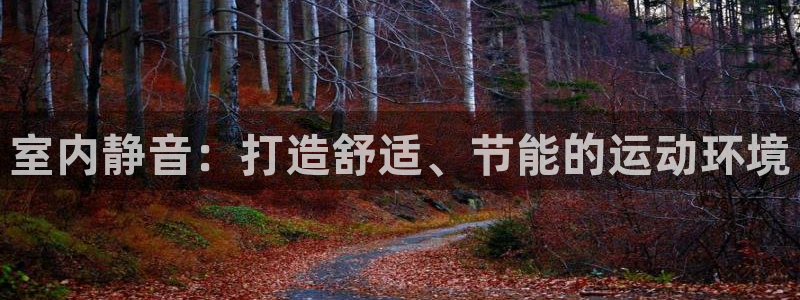 意昂体育4平台是正规平台吗安全吗：室内静音：打造舒适、节能的