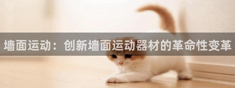 意昂体育4是干嘛的公司：墙面运动：创新墙面运动器材的革命性变