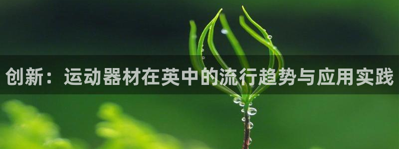 意昂体育4是干嘛的公司：创新：运动器材在英中的流行趋势与应用