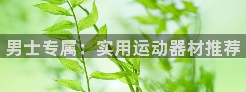 意昂4集团官网首页：男士专属：实用运动器材推荐