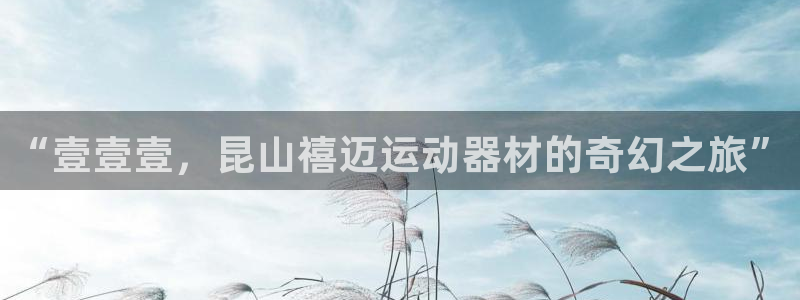 意昂4娱乐：“壹壹壹，昆山禧迈运动器材的奇幻之旅”