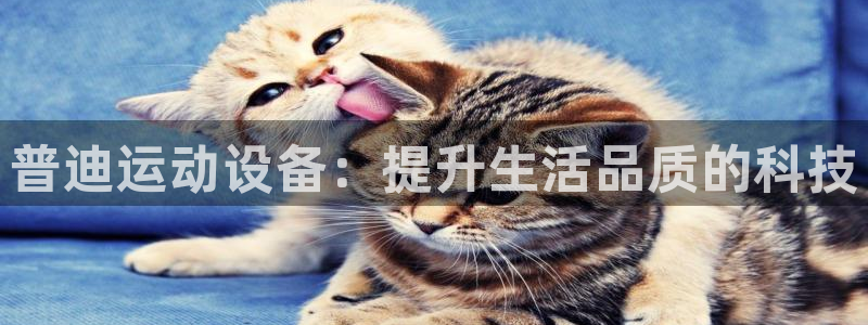 意昂4新能源