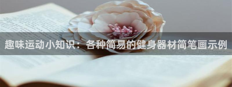 意昂4新能源：趣味运动小知识：各种简易的健身器材简笔
