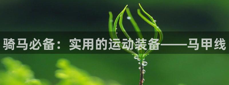 意昂4娱乐是那个系列的台子