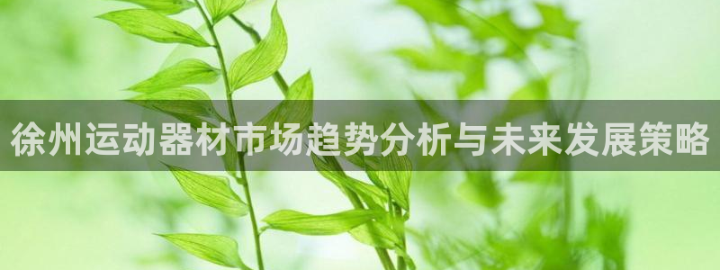 意昂体育4平台注册：徐州运动器材市场趋势分析与未来发