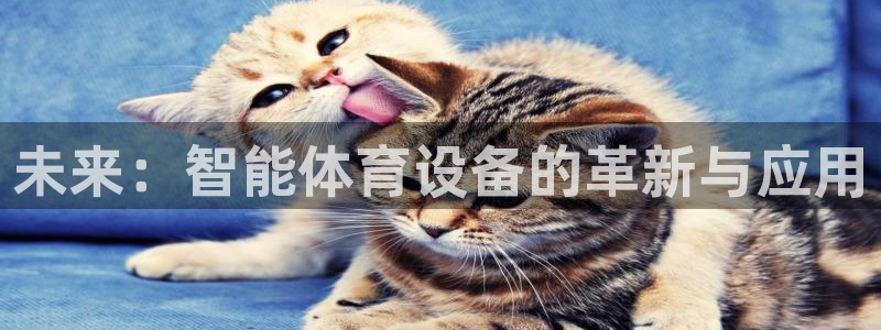 意昂体育4平台是正规平台吗安全吗