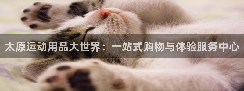 意昂体育4软件
