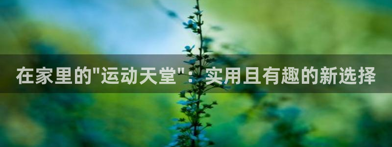 意昂平台体育：在家里的\