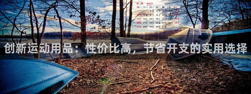 意昂体育4开户：创新运动用品：性价比高，节省开支的实用选择