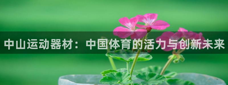意昂体育4招商电话号码：中山运动器材：中国体育的活力与创新未