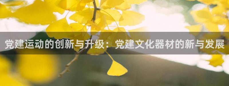 意昂4新能源：党建运动的创新与升级：党建文化器材的新与发展