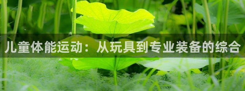 意昂4娱乐首页官网下载：儿童体能运动：从玩具到专业装备的综合