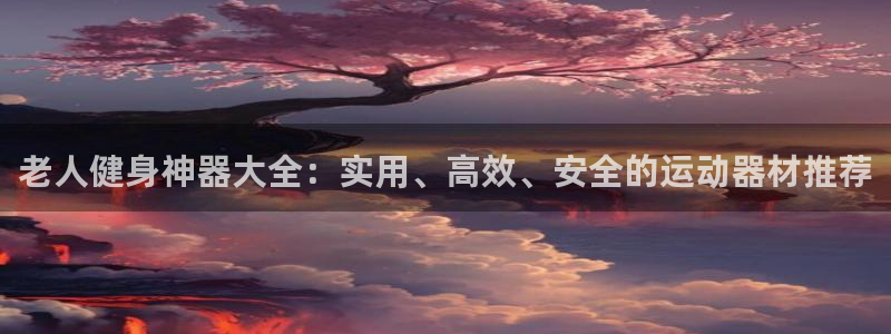 意昂体育4软件：老人健身神器大全：实用、高效、安全的运动器材