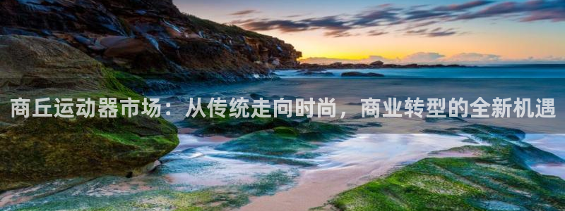 意昂体育4平台注册流程图：商丘运动器市场：从传统走向