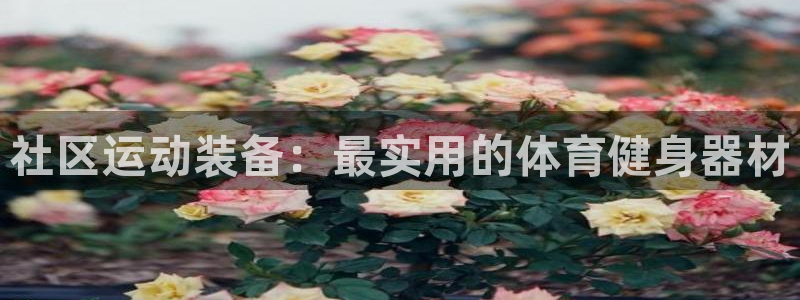意昂体育4娱乐：社区运动装备：最实用的体育健身器材