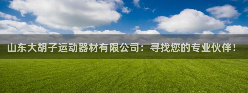 意昂4代理：山东大胡子运动器材有限公司：寻找您的专业