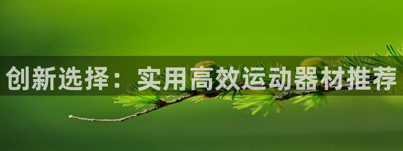 意昂体育4平台注册流程视频：创新选择：实用高效运动器材推荐