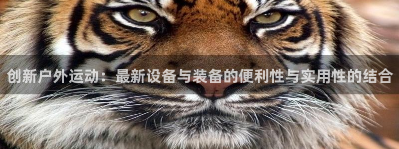 意昂体育4平台注册要钱吗：创新户外运动：最新设备与装