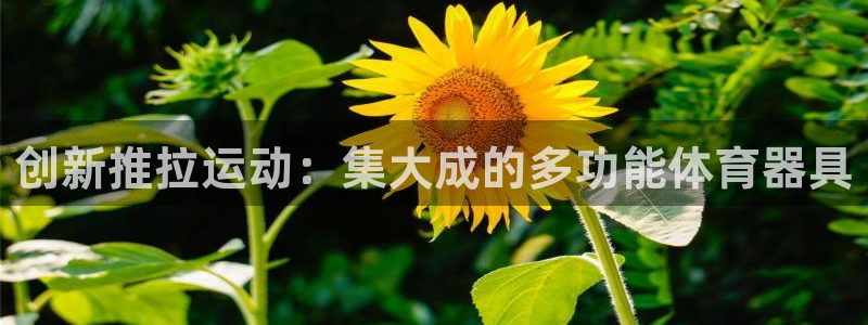 意昂4神州