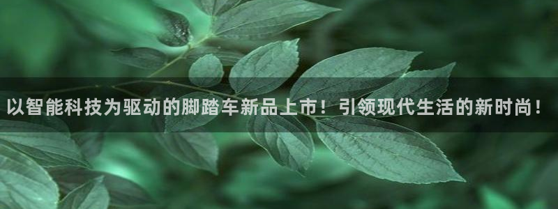意昂平台体育