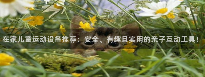 意昂4集团简介：在家儿童运动设备推荐：安全、有趣且实