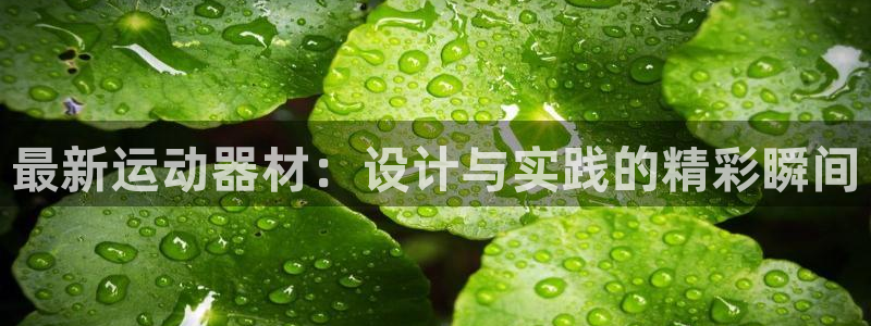意昂4娱乐平台：最新运动器材：设计与实践的精彩瞬间
