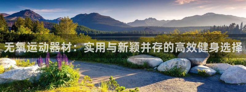 意昂4集团官网首页：无氧运动器材：实用与新颖并存的高
