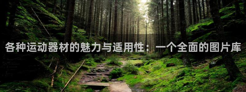 意昂体育4平台注册要钱吗：各种运动器材的魅力与适用性：一个全