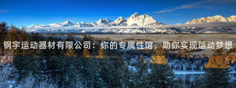 意昂4集团官网网址：钢宇运动器材有限公司：你的专属性馆，助你