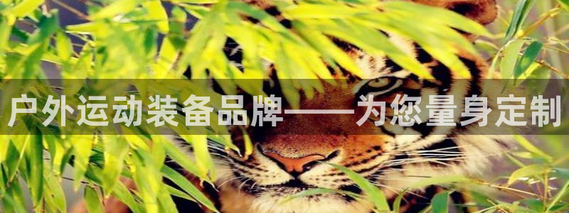 意昂4集团官网网址：户外运动装备品牌——为您量身定制