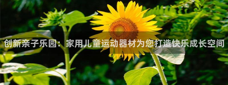 意昂4科技：创新亲子乐园：家用儿童运动器材为您打造快乐成长空