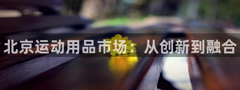 意昂体育4：北京运动用品市场：从创新到融合