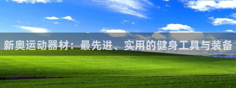 意昂4集团E.ON：新奥运动器材：最先进、实用的健身工具与装