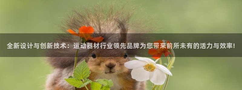 意昂4娱乐：全新设计与创新技术：运动器材行业领先品牌为您带来