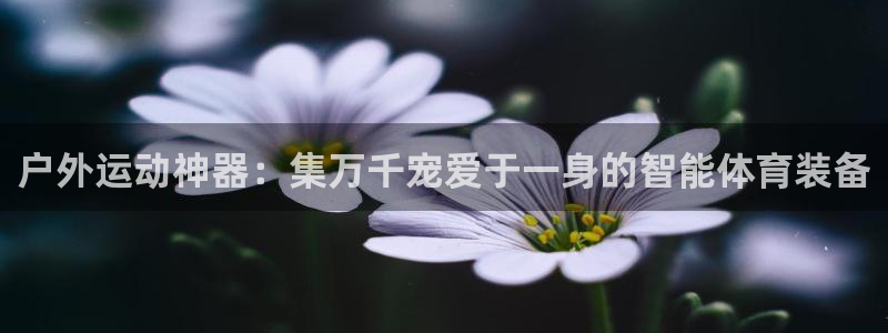 意昂体育4招商电话号码是多少：户外运动神器：集万千宠
